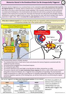 Why do we get triggered? PDF Version