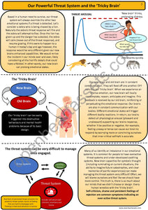 Compassion-Focused Therapy Handout Bundle PDF Version