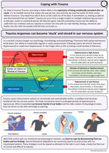 Load image into Gallery viewer, Trauma Coping Reactions: PDF Version