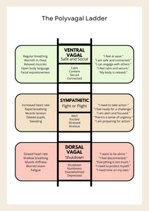 Polyvagal Workbook Plus 30 Calming Flashcards