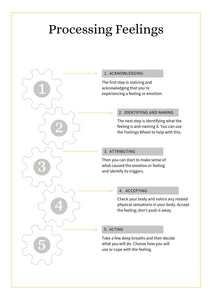 Feelings Wheel Workbook