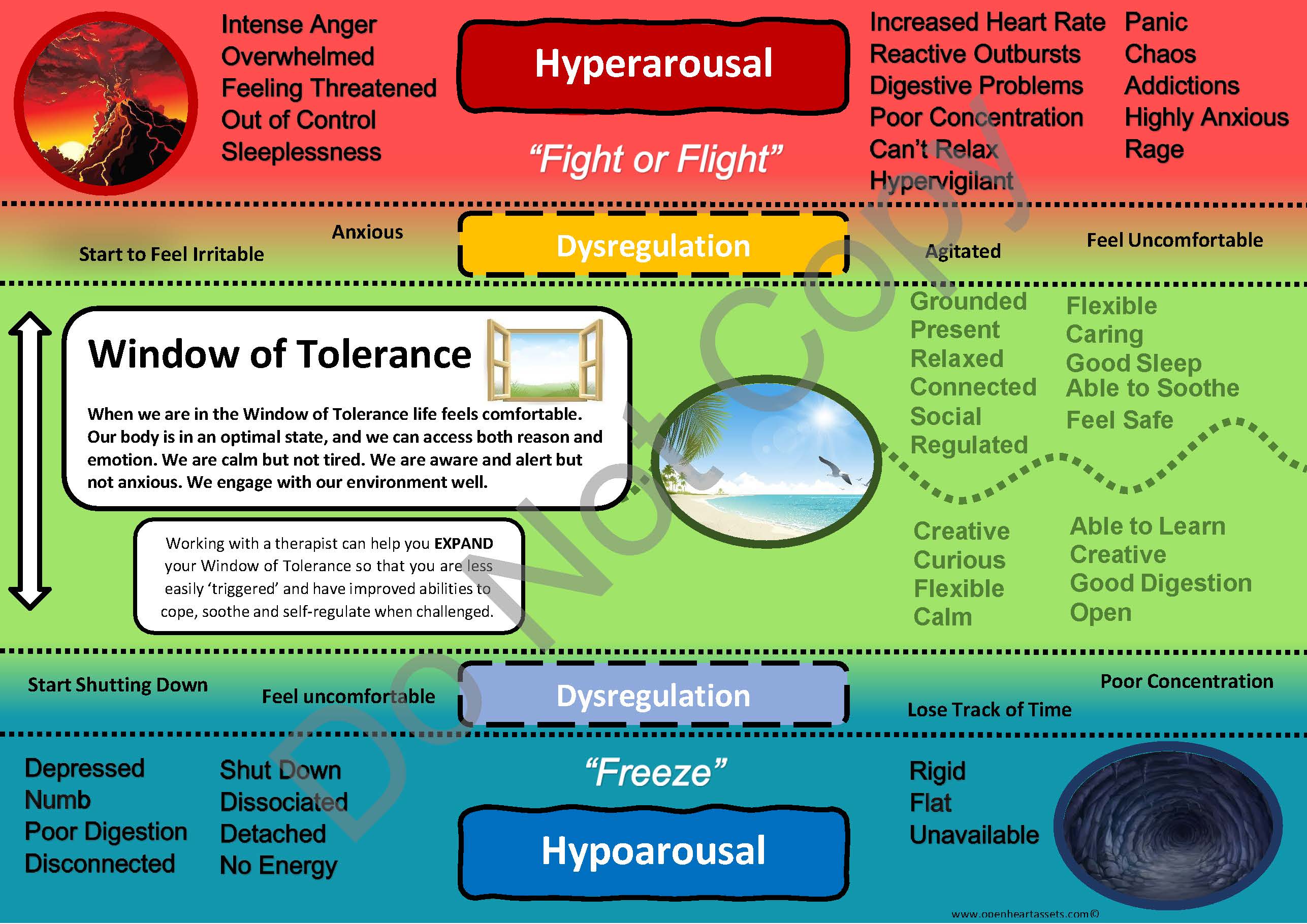 Collective Trauma and Your Window of Tolerance How COVID-19 is Changing Us  All  Center for Conflict Resolution