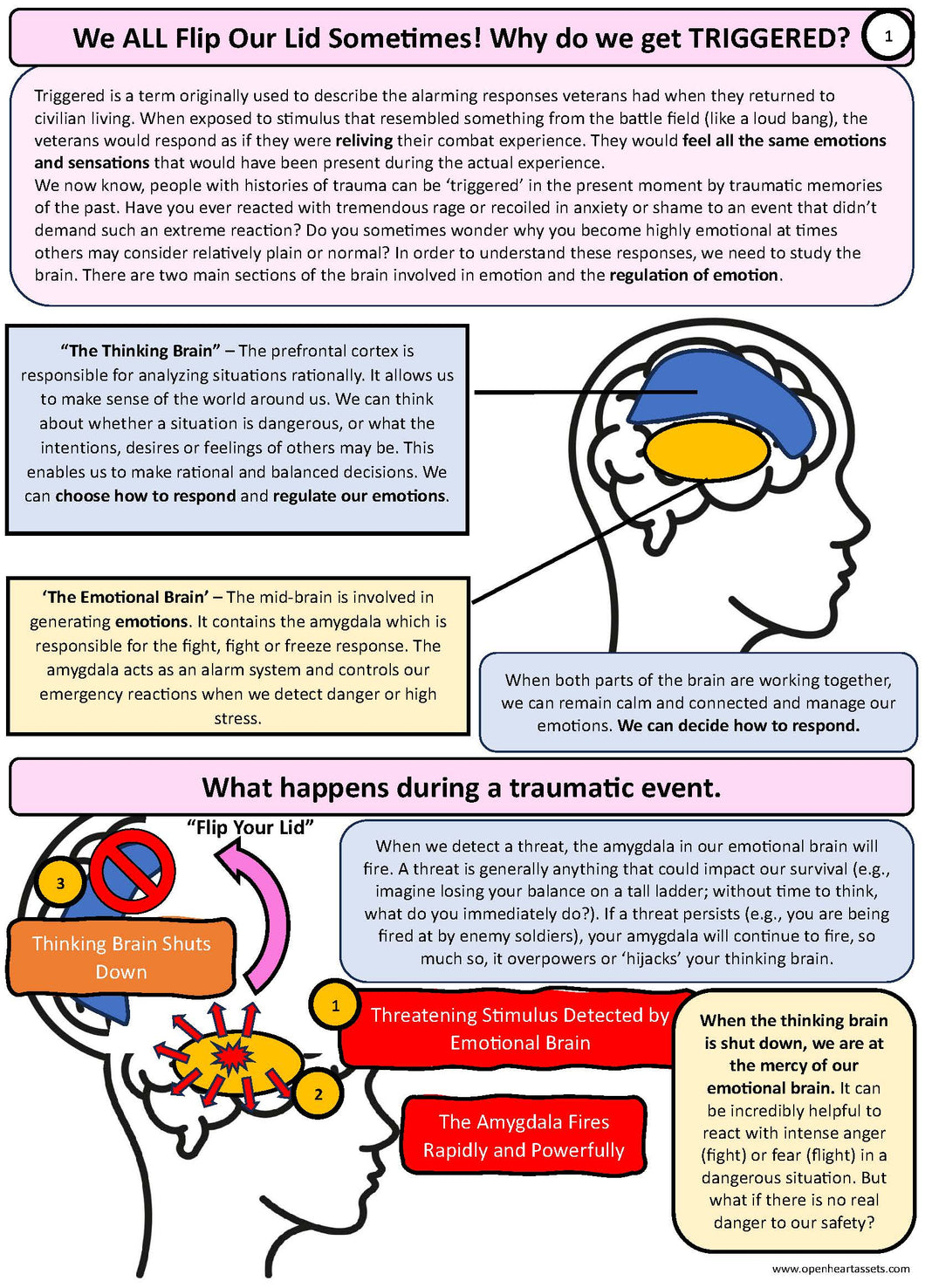 Why do we get triggered? PDF Version